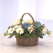 Baby Blue Basket