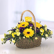 Yellows &amp; Purples Basket