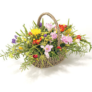 Mixed Freesia Basket