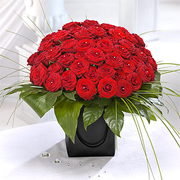 50 Red Rose Ultimate Love