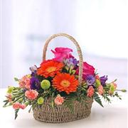 Colourful Basket