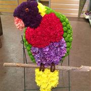 Parrot Floral Tribute