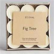 Scented Tea Lights Fig Tree