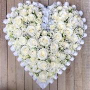 white rose massed heart