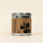 Scented Tin Candle Wild Gorse