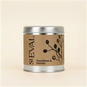 Scented Tin Candle 