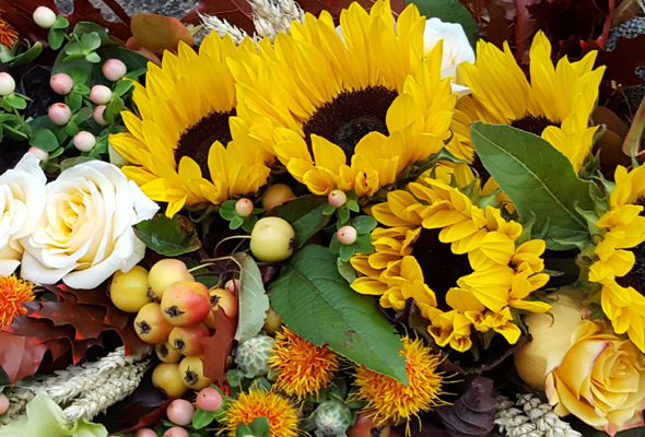 Autumn Flowers